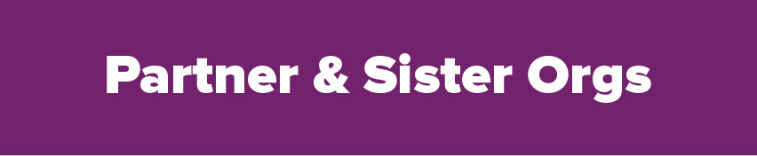 partner and sister organisations  