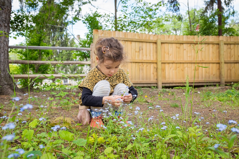 A child picks flowers in the United States.