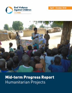 Mid-term progress report tiny